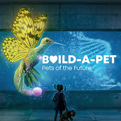 Build a Pet